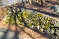 An ancient wall made of moss-covered stones alongside a small forest path Royalty Free Stock Photo