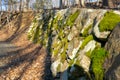 An ancient wall made of moss-covered stones alongside a small forest path Royalty Free Stock Photo