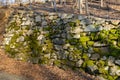 An ancient wall made of moss-covered stones alongside a small forest path Royalty Free Stock Photo