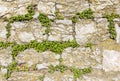 Ancient wall made of natural rocks with plants between blocks.