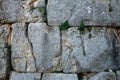 Ancient wall of  Norba, Latina, Italy Royalty Free Stock Photo