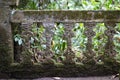 Ancient wall ruins in rain forest Royalty Free Stock Photo