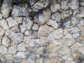 Ancient wall of stone with black mold. Photo