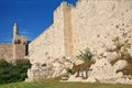The ancient walls of the eternal Jerusalem Royalty Free Stock Photo