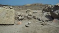 Ancient walls excavated historical ruins at the archaeological site of the city of Phanagoria