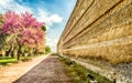 Ancient walls inside Villa Adriana & x28;Hadrian& x27;s Villa& x29;, Tivoli, Italy