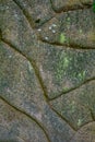 Ancient, weathered carved stone blocks. Decorative masonry overgrown, green moss Royalty Free Stock Photo