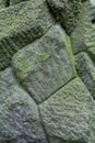 Ancient, weathered carved stone blocks. Decorative masonry overgrown, green moss