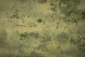 Ancient weathered green wall with pattern of moss Royalty Free Stock Photo