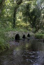 Ancient Welsh packhorse bridge