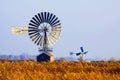 Ancient wind turbines in dutch rural landscape with yellow ripe dry grain field near traditional village Zaanse Schans, Royalty Free Stock Photo