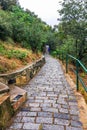 Ancient winding road paved with cobblestone and overgrown by grass