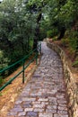 Ancient winding road paved with cobblestone and overgrown by grass Royalty Free Stock Photo