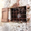 Ancient window with bars and vines