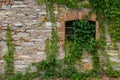 Ancient window a stone wall of a building covered with creepers Royalty Free Stock Photo