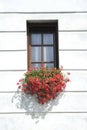 The ancient window w flowers