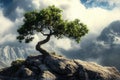 Ancient, windswept tree grows from a rock amidst dramatic clouds and distant mountains Royalty Free Stock Photo