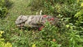 An ancient woman sculpture over grass with moss and red flowers at Colombian San Agustin archaeological park. Royalty Free Stock Photo