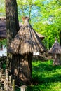 Ancient wooden beehives in old rural apiary Royalty Free Stock Photo