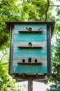 Ancient wooden dovecot in park