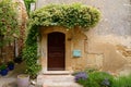Ancient wooden entrance doors with rustic metal nails, surrounded by plants, Provence, France