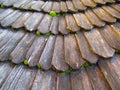 Ancient wooden laying of the roof, Kamenets Podolskiy, Ukraine