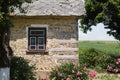 Ancient wooden wall with window of Ukrainian authentic house with flowers and fruit trees around