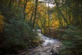 Ancient Woods Of Dean Park in Kilmarnock in Autumn and the River Fenwick Royalty Free Stock Photo