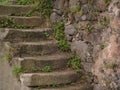 Ancient, worn stone staircase in Porto, Portugal with plants growing in cracks and old stone wall in background Royalty Free Stock Photo