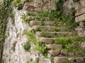 Ancient, worn stone steps in Porto, Portugal with plants growing in cracks Royalty Free Stock Photo