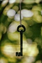 Ancient wrought iron key hanging between branches.