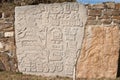 Ancient zapotec relief on the wall Royalty Free Stock Photo