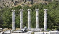 Ancients Columns in Priene