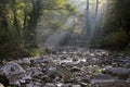 Andaka River at Dawn Royalty Free Stock Photo