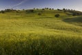 Andalucia countryside, Spain