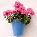 Andalucia Spain traditional whitewashed village geranium pelargonium flower pot wall display