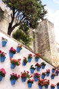 Andalucia Spain traditional whitewashed village flower pot wall display vertical