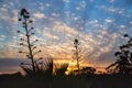 Andalucian Sunset