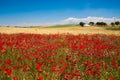 Andalusia. Spain Royalty Free Stock Photo