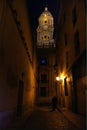 Andalusia, Spain, Malaga Cathedral's bell tower night view