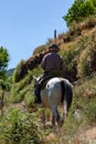 Beautiful Spanish horse ridden through the forests of Andalusia