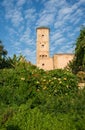 Andalusian gardens in Udayas kasbah. Rabat. Morocco.