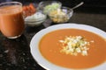 Andalusian gazpacho Andalusian and Spanish cuisine Royalty Free Stock Photo