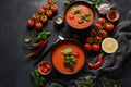 Andalusian gazpacho. Red tomato cold gazpacho soup i Royalty Free Stock Photo