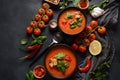 Andalusian gazpacho. Red tomato cold gazpacho soup i Royalty Free Stock Photo