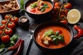 Andalusian gazpacho. Red tomato cold gazpacho soup Royalty Free Stock Photo