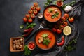 Andalusian gazpacho. Red tomato cold gazpacho soup Royalty Free Stock Photo