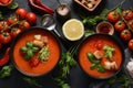 Andalusian gazpacho. Red tomato cold gazpacho soup Royalty Free Stock Photo