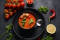 Andalusian gazpacho. Red tomato cold gazpacho soup Royalty Free Stock Photo