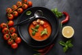 Andalusian gazpacho. Red tomato cold gazpacho soup Royalty Free Stock Photo